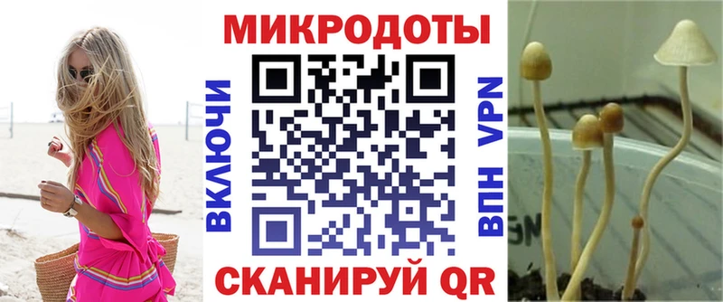 Псилоцибиновые грибы MAGIC MUSHROOMS Кировград