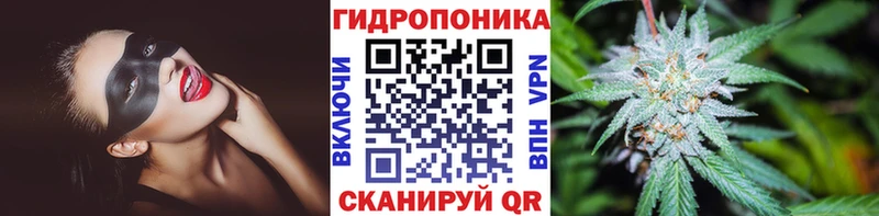 купить наркоту  Кировград  Конопля OG Kush 